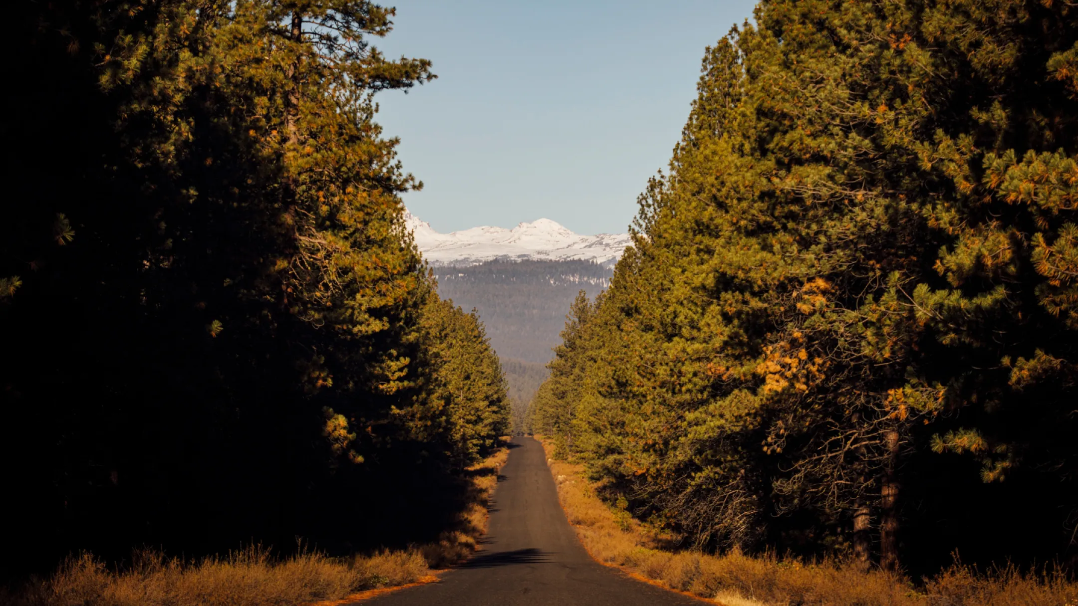 A scenic road lined with towering pines leads to snow-capped mountains, reflecting the tranquil setting of Baldhead Cabinets.